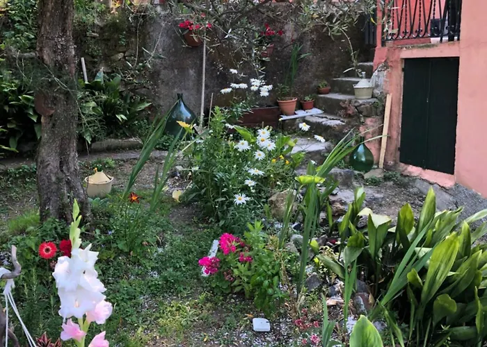 La Gaiada